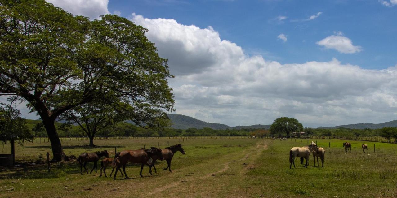 Rancho Humo Estancia Puerto Humo  Exterior foto